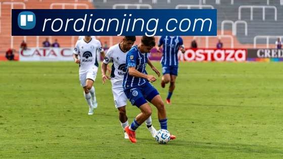 ROR电竞资讯平台生态图